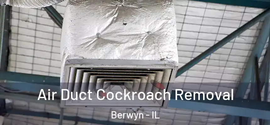  Air Duct Cockroach Removal Berwyn - IL