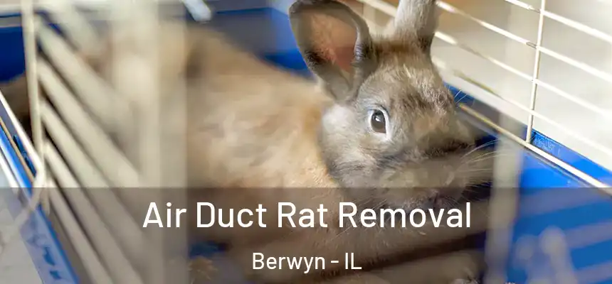  Air Duct Rat Removal Berwyn - IL