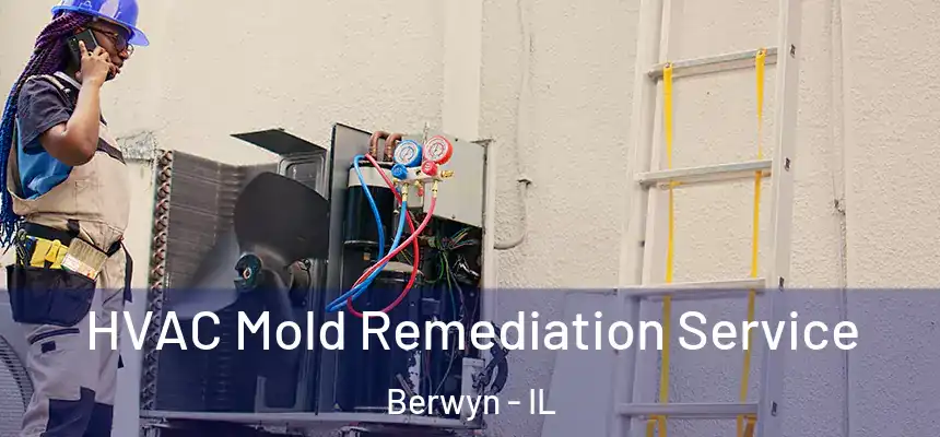  HVAC Mold Remediation Service Berwyn - IL