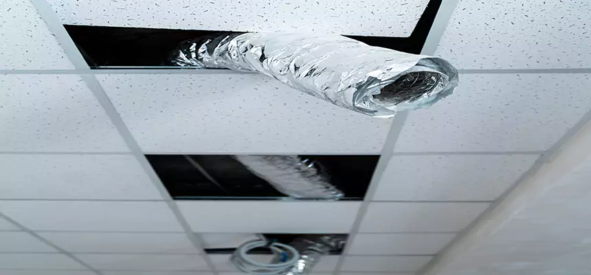 Affordable HVAC Sanitizing After Pest Removal in Berwyn