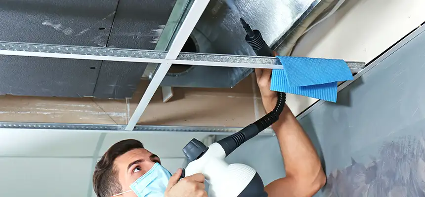 Our Air Duct Rodent Removal Services in Berwyn, IL