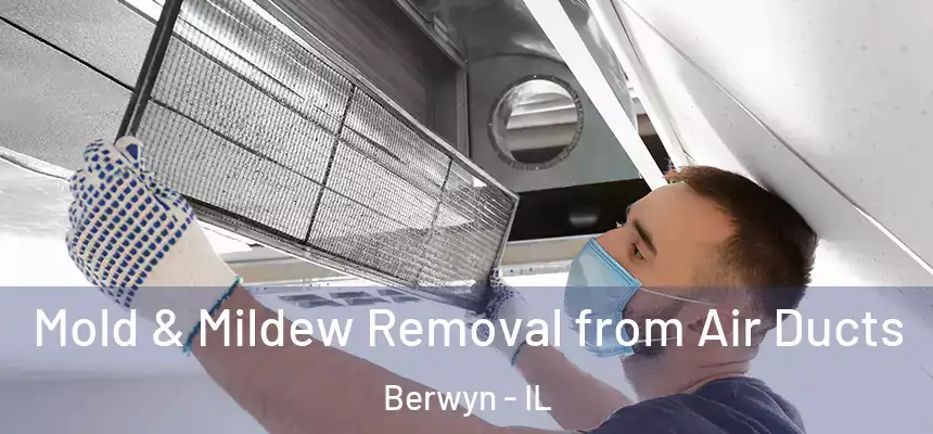  Mold & Mildew Removal from Air Ducts Berwyn - IL