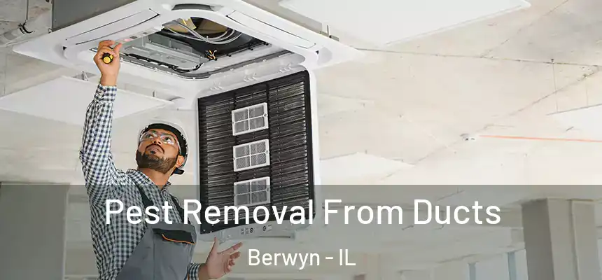 Pest Removal From Ducts Berwyn - IL