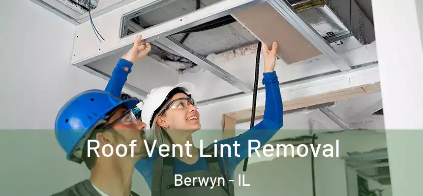 Roof Vent Lint Removal Berwyn - IL