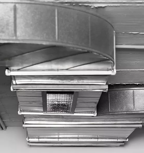 Professional Air Duct Pet Hair Removal in Berwyn, IL