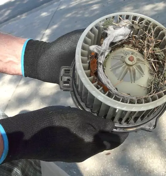 About Air Duct Rat Removal in Berwyn, IL