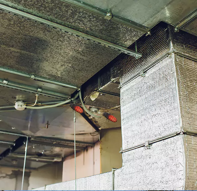 Why Homeowners & Businesses Trust Us in Berwyn, IL?