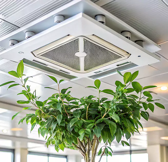 Why Homeowners & Businesses Trust Us in Berwyn, IL?