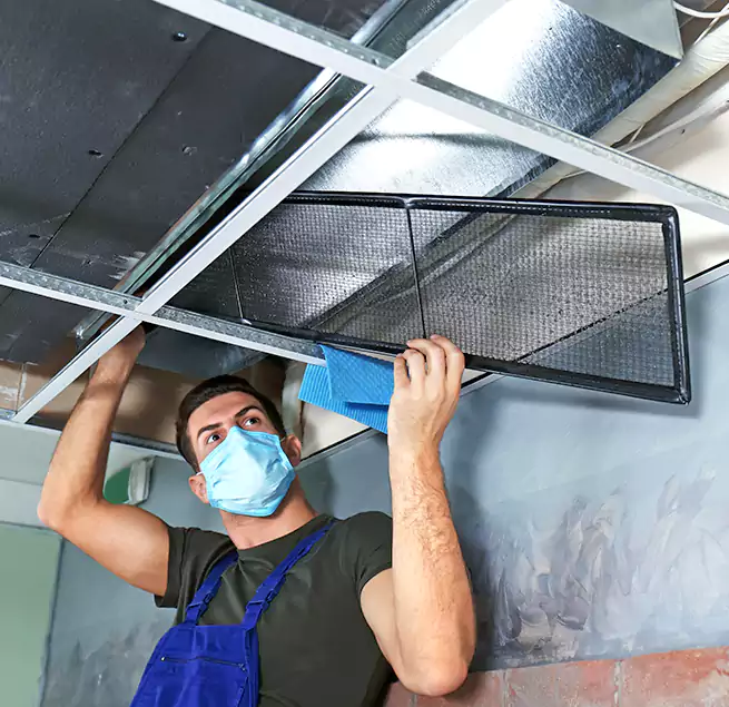 Why Homeowners Businesses Trust Us in Berwyn, IL