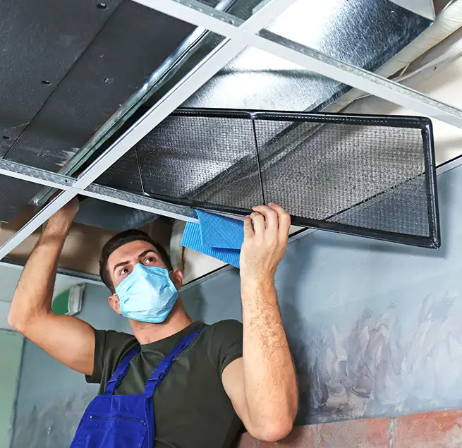 Why Homeowners & Businesses Trust Us in Berwyn, IL?