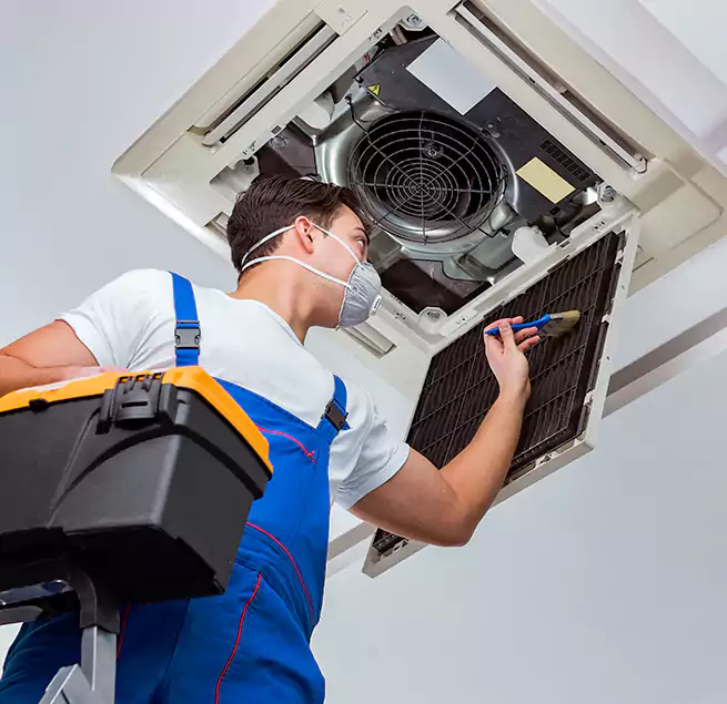 Why Homeowners & Businesses Trust Us in Berwyn, IL?